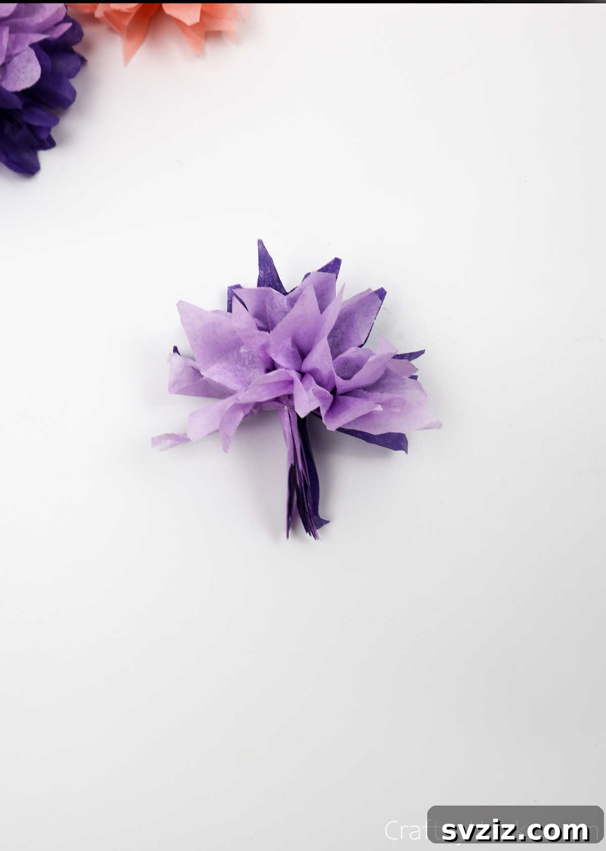 The top half of a tissue paper flower fully unfurled and fluffed, demonstrating the achieved volume and shape