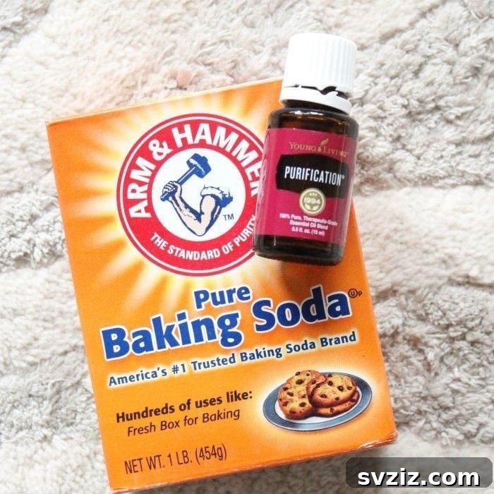 Vacuum Smarter, Not Harder: Top Cleaning Secrets 3 baking soda carpet cleaner