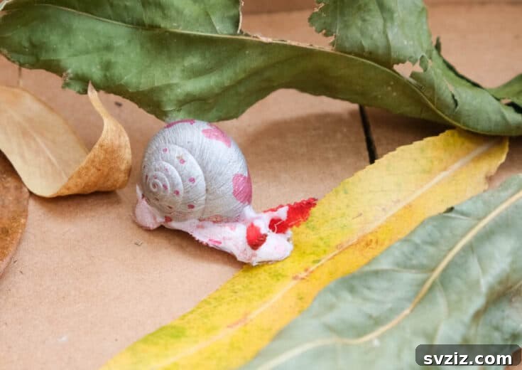 Snail Shell Craft