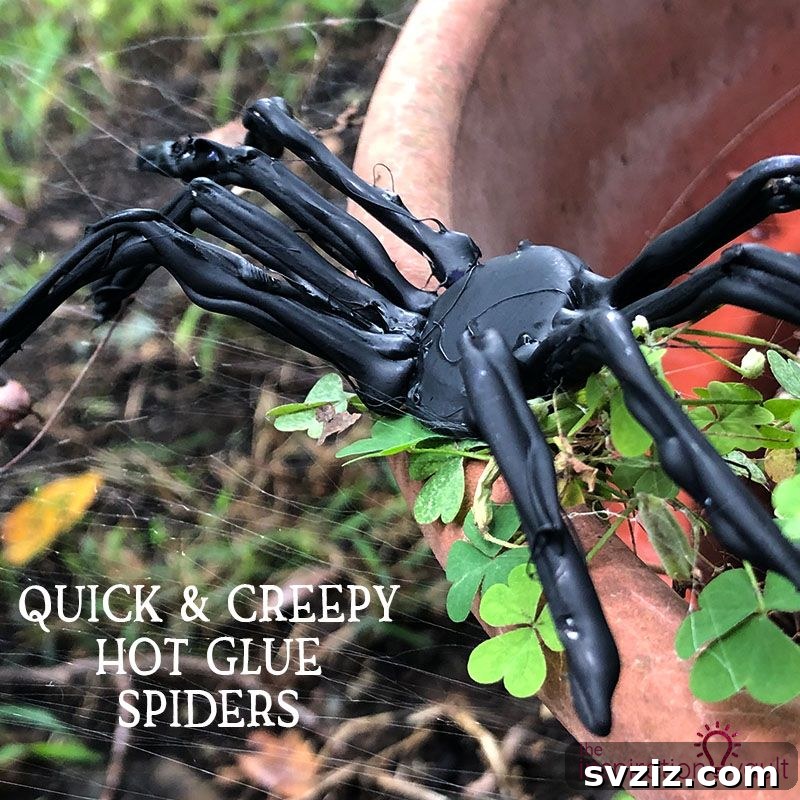 Spider Craft