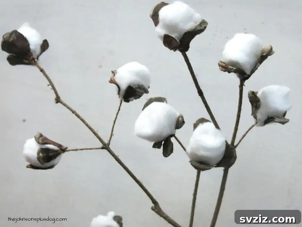 DIY Cotton Stems