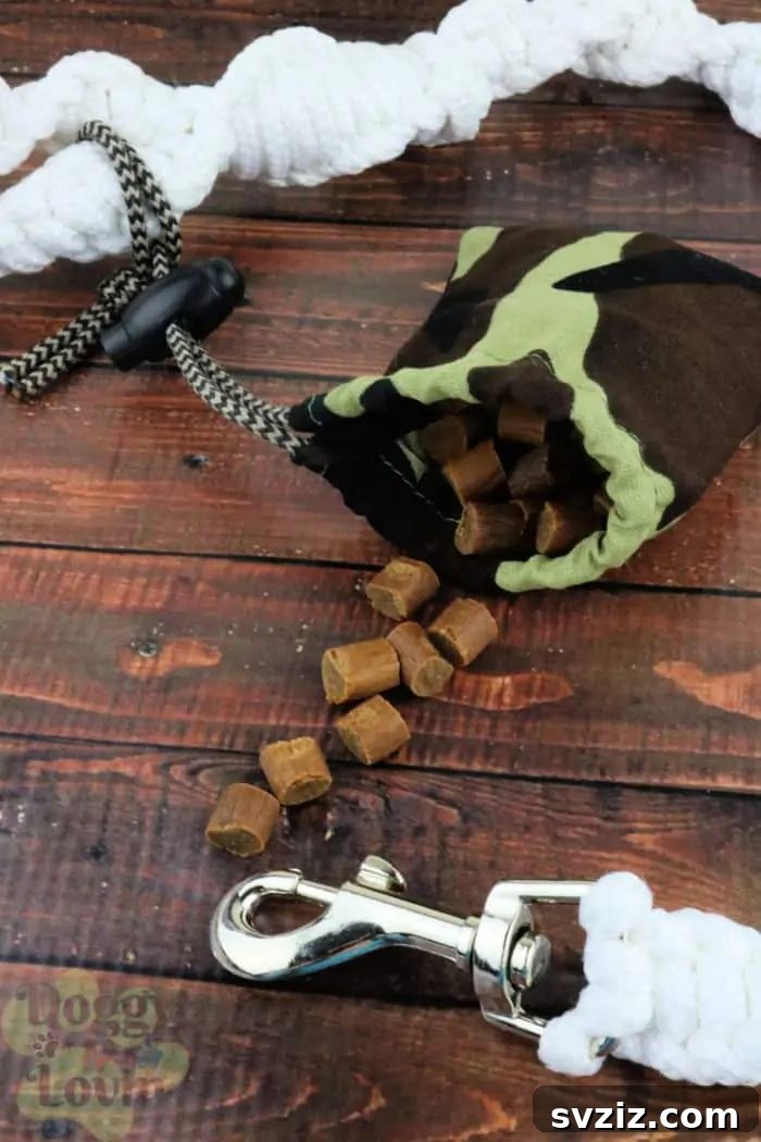 Effortless Stitching: 47 Projects for Every Skill Level 15 A small, lined fabric pouch with a drawstring closure and a clip, perfect for carrying dog treats during training or walks.