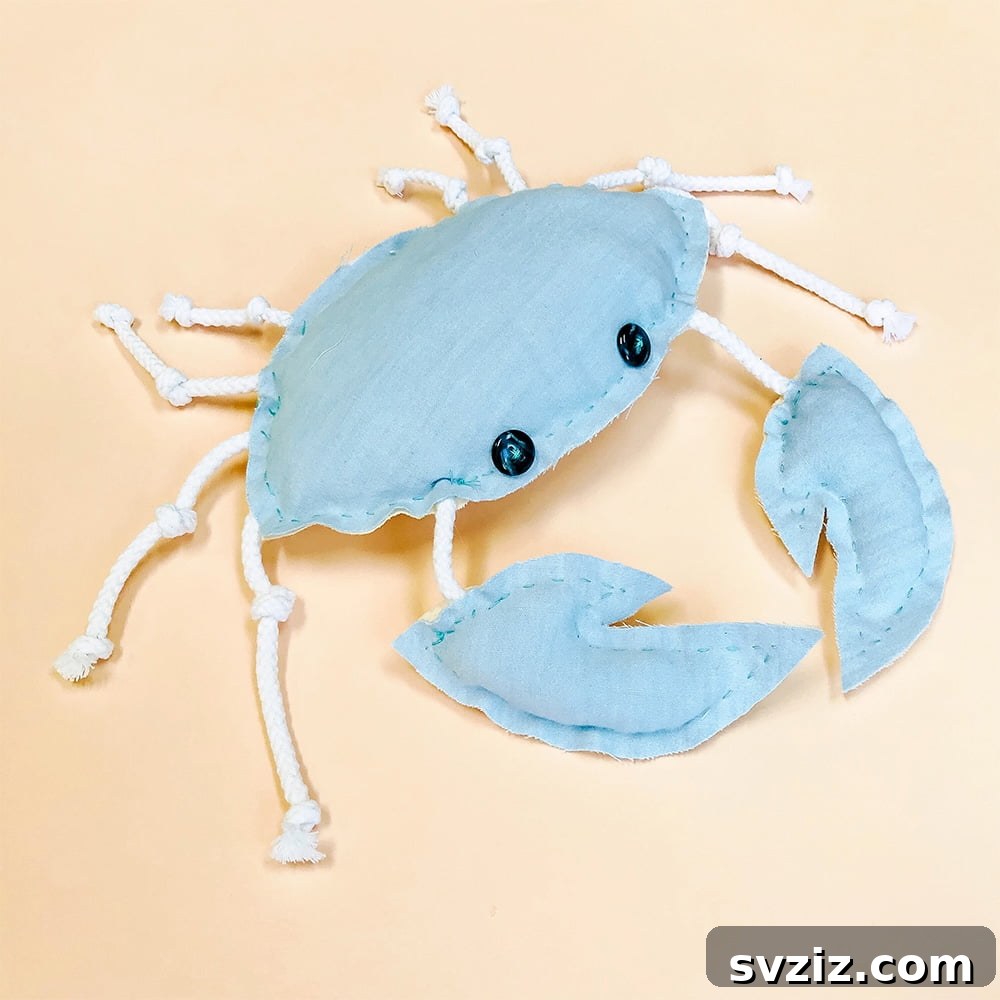 DIY Crab Softie