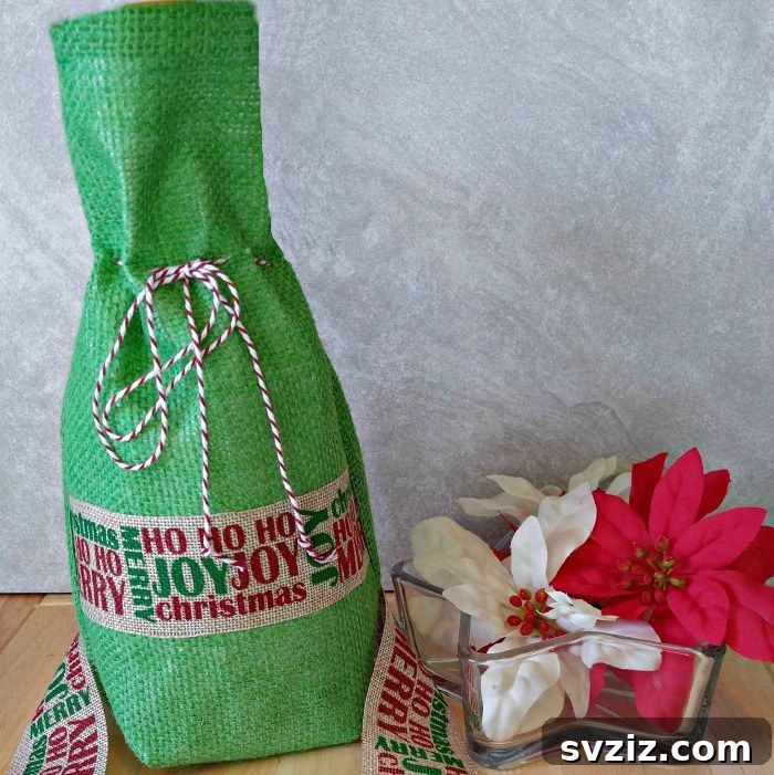 Wine Bottle Bag