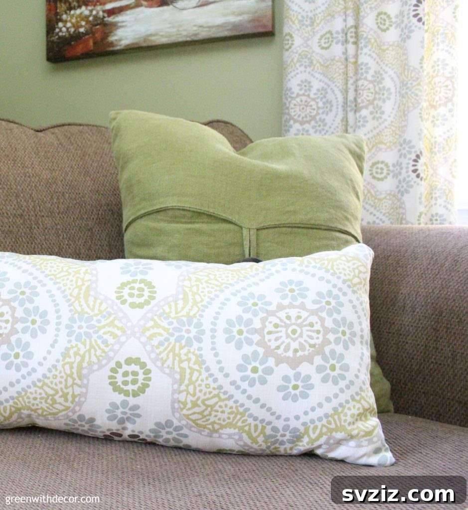Throw Pillow