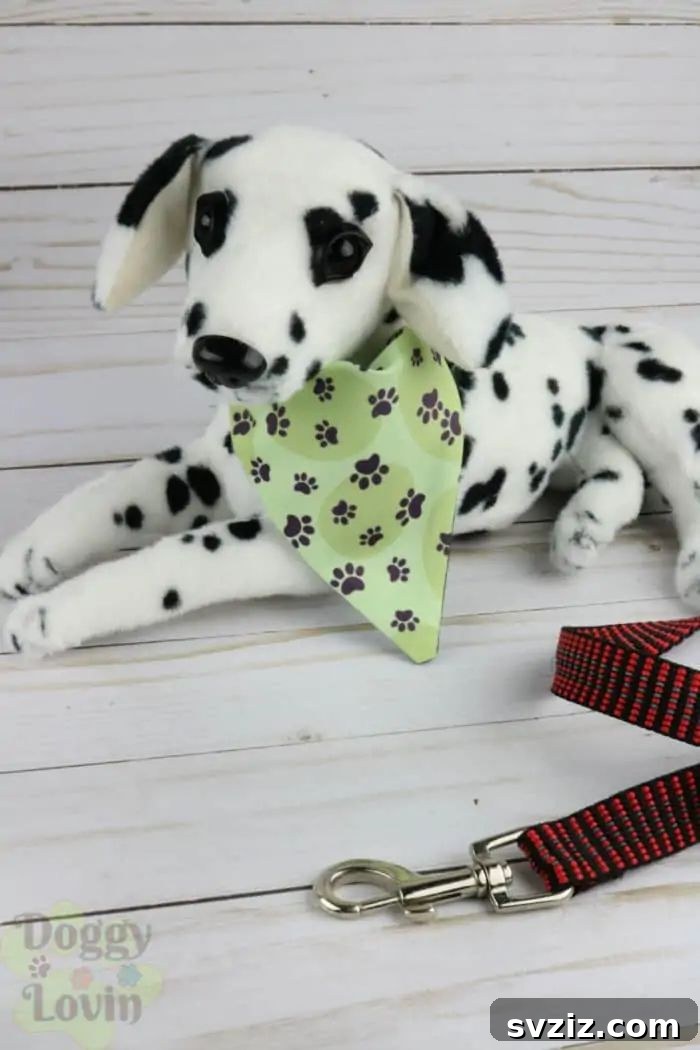 Two-Sided Bandana