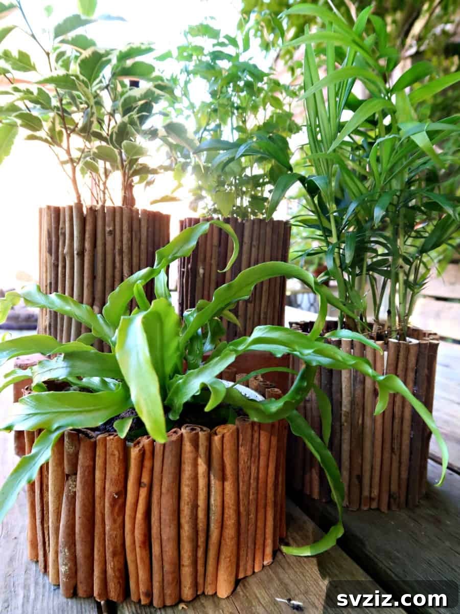Repurposed Mug Planters, an eco-friendly Dollar Store craft