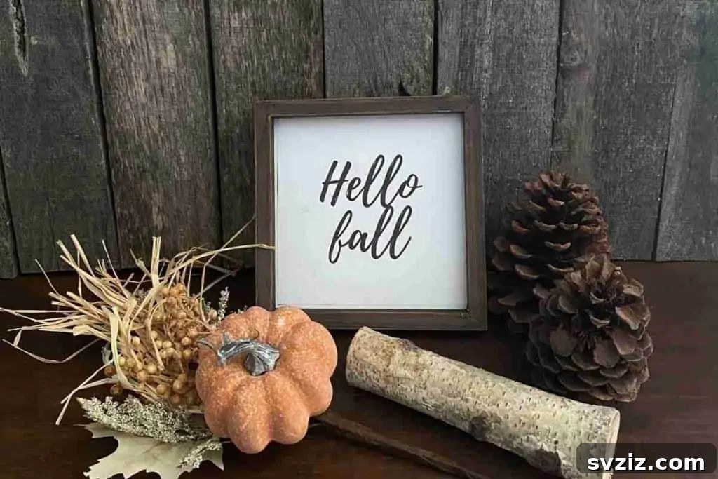 DIY Dollar Tree Farmhouse Signs for rustic home decor
