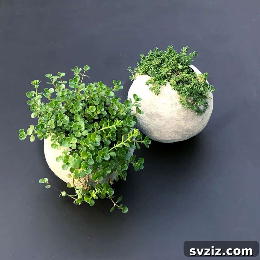 DIY Dream Bedroom: 51 Budget-Friendly Decor Hacks 20 Cement Balloon Planters