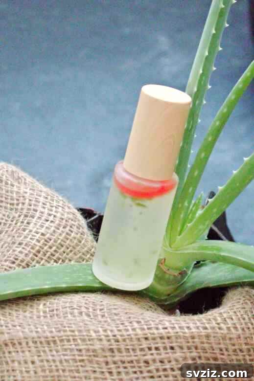 47 Clever Crafts Your Mom Will Love 36 DIY Aloe Facial Toner