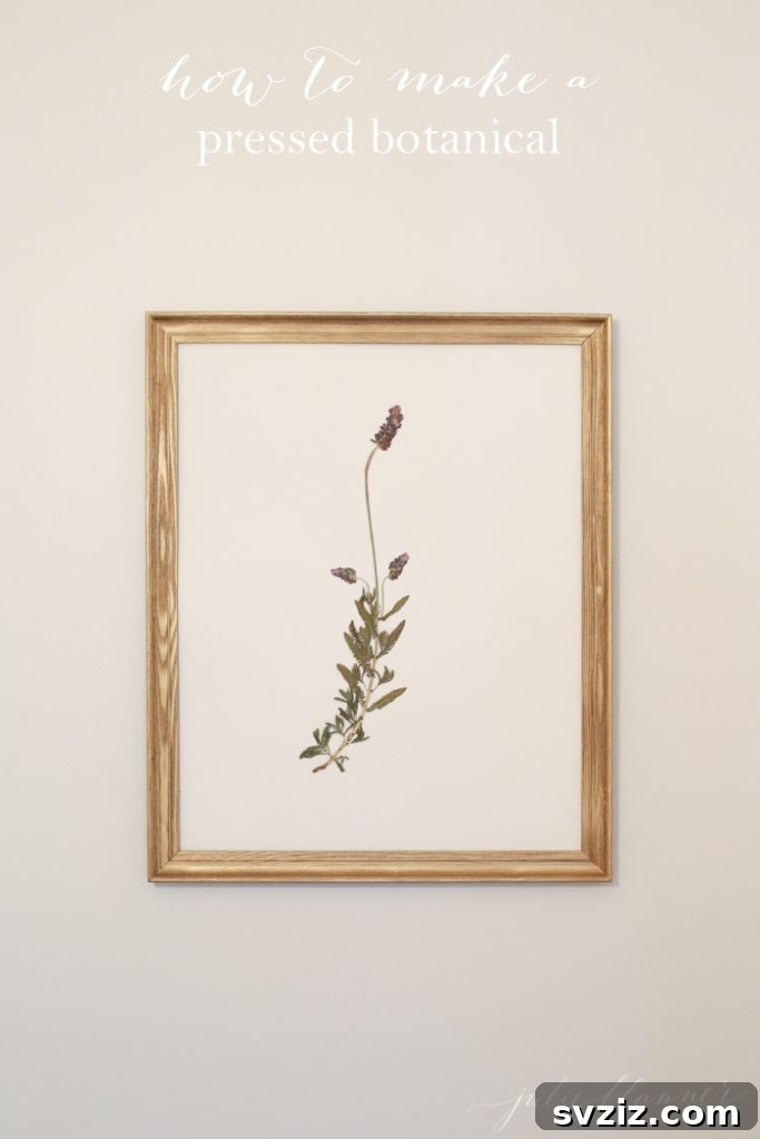 Pressed Botanical Wall Art