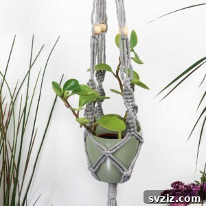 Featured image of a DIY Macrame Plant Hanger