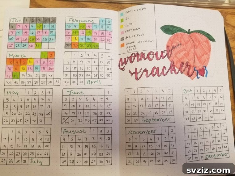 Bullet Journal Your Way to Weight Loss 20 Spreads 12 bullet workout tracking