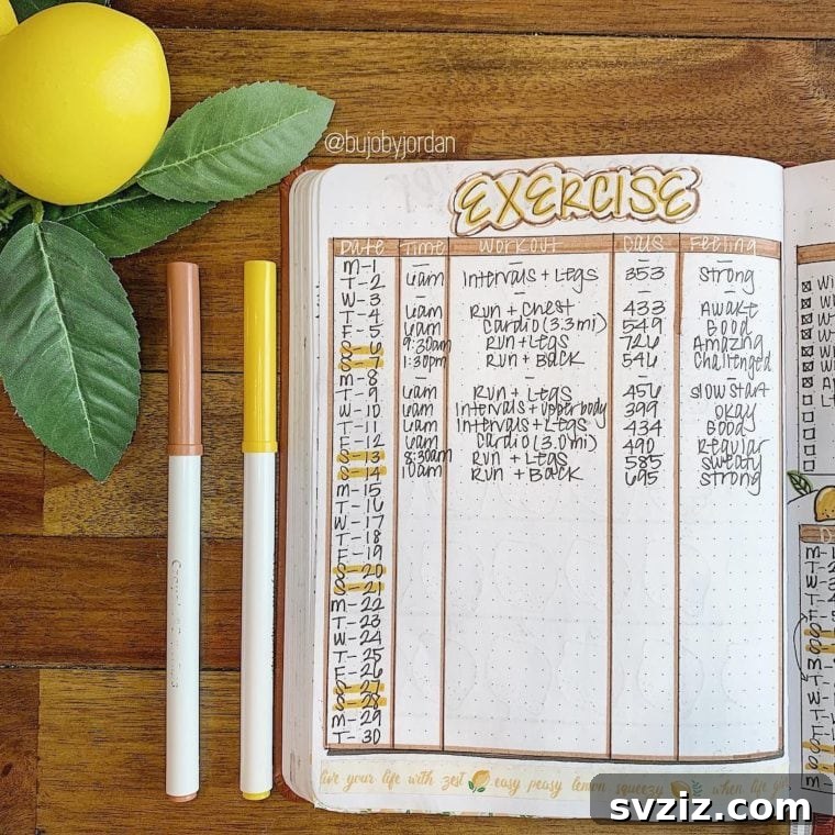 Bullet Journal Your Way to Weight Loss 20 Spreads 13 Exercise tracker