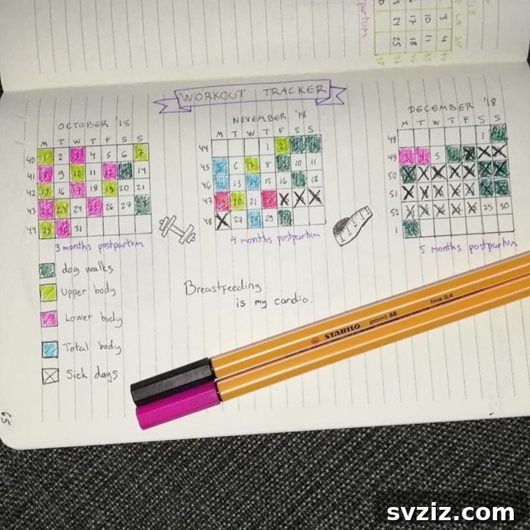 Bullet Journal Your Way to Weight Loss 20 Spreads 22 Workout Tracker for the Season