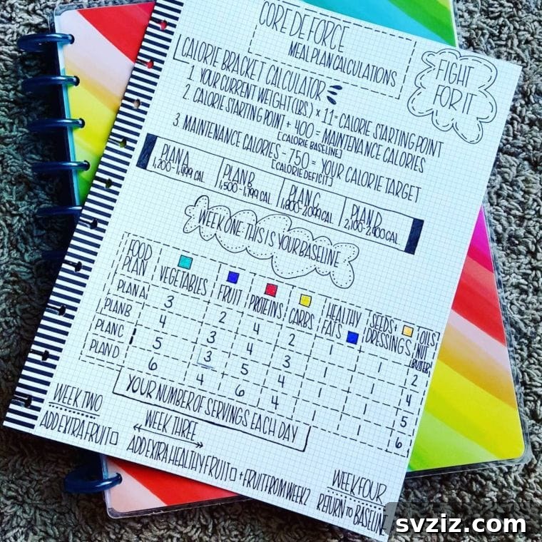 Bullet Journal Your Way to Weight Loss 20 Spreads 5 Count Those Calories