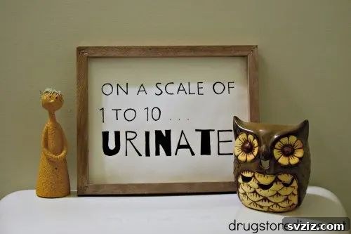 Kickstart Your Art: 61 Easy Canvas Painting Projects 5 Funny Bathroom Sign