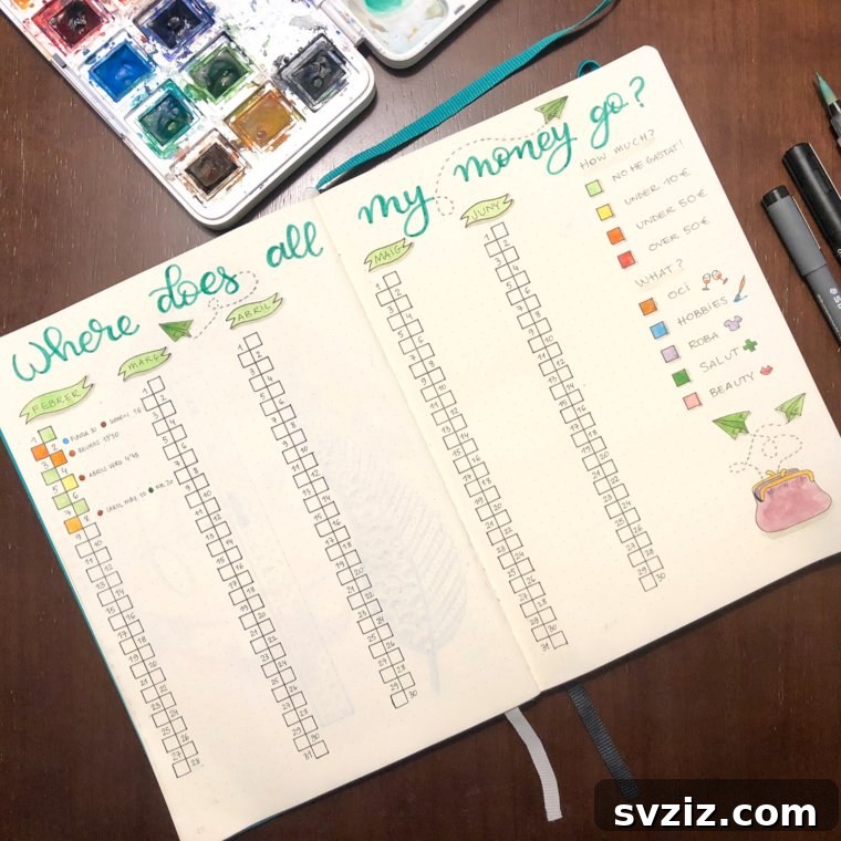 Where Does All My Money Go Bullet Journal