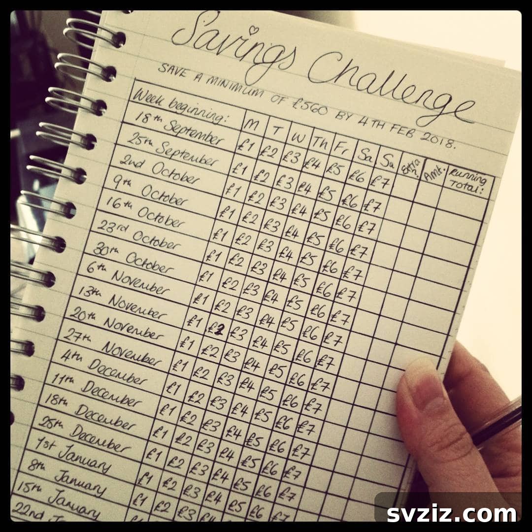 Savings Challenge Bullet Journal