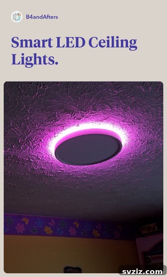 Smart LED Ceiling Lights