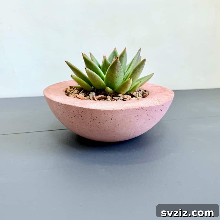Pink Cement Planter