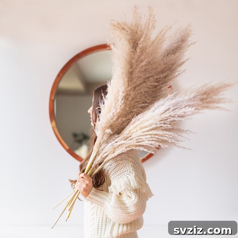 Pampas Grass