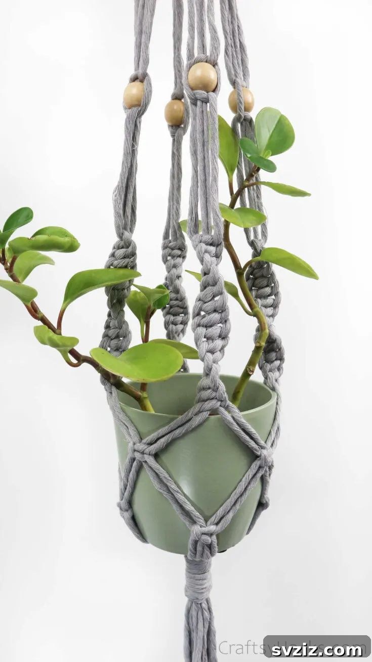 Macrame Plant Hanger