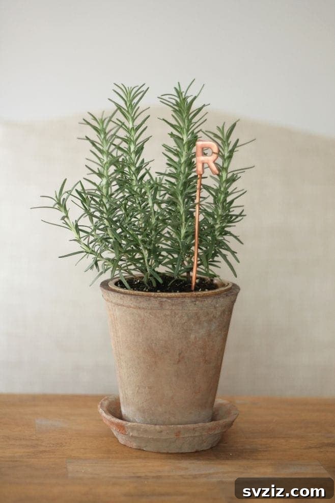 51 Heartfelt DIY Gifts for Their New Beginning 50 Handmade Copper Garden Markers for herbs and vegetables