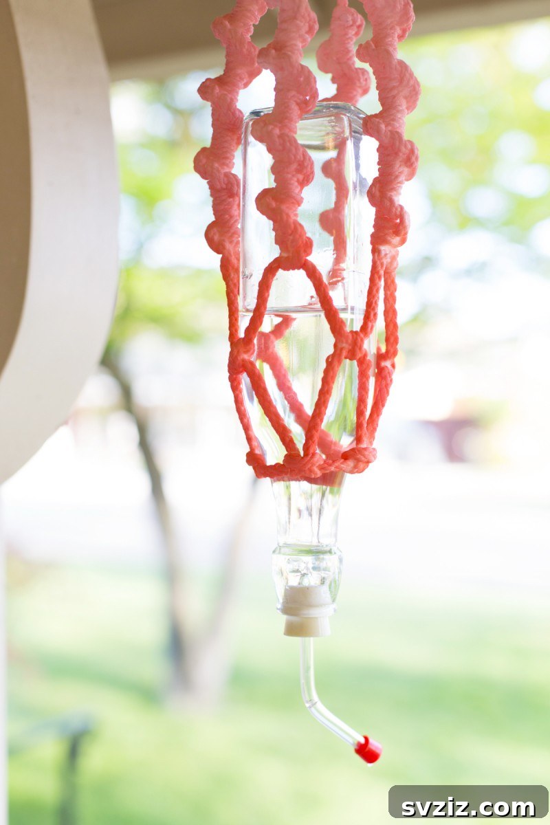 21 Macrame Projects: A Beginner's DIY Guide 14 Macrame Hummingbird Feeder