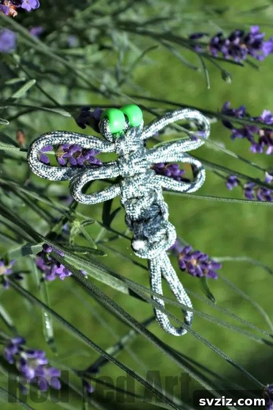 21 Macrame Projects: A Beginner's DIY Guide 17 Macrame Dragonfly using paracord
