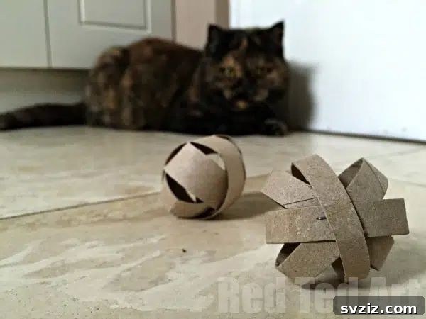 Cat Toy