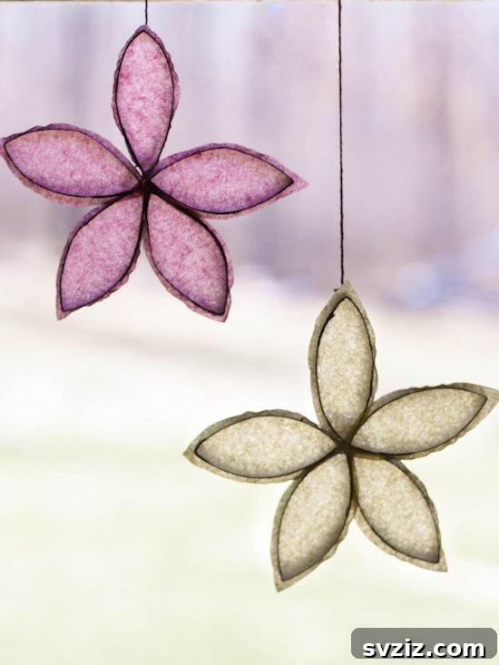 Sun Catcher