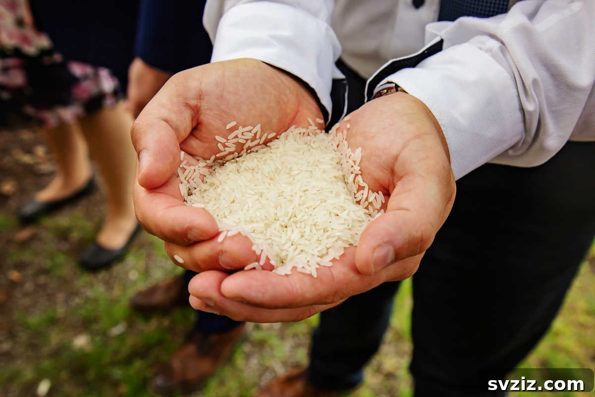 A wedding couple being showered with rice by their guests