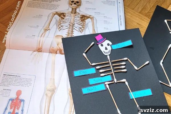 A simple Q-Tip skeleton craft on dark paper, an educational and fun way for kids to learn about bones.