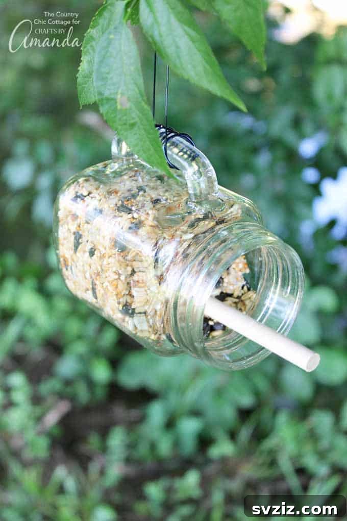 Bird Feeder