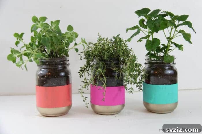 Herb Garden