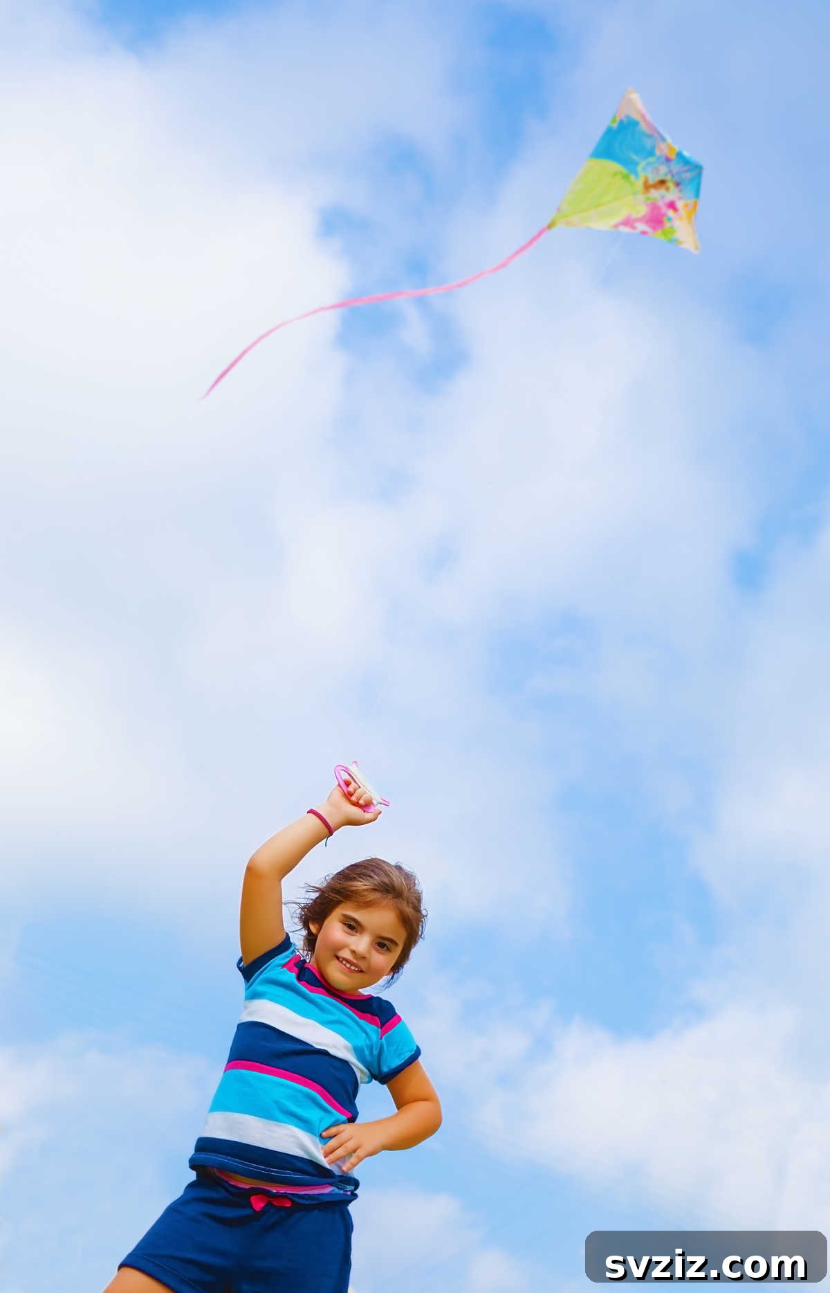 Fly Kites