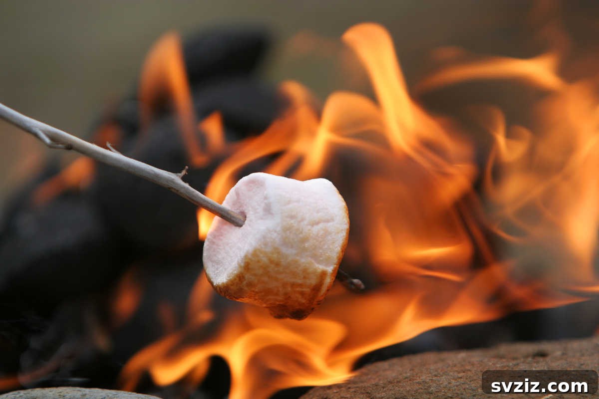 Kids safely toasting marshmallows over a small campfire in a backyard at dusk, a sweet outdoor treat.