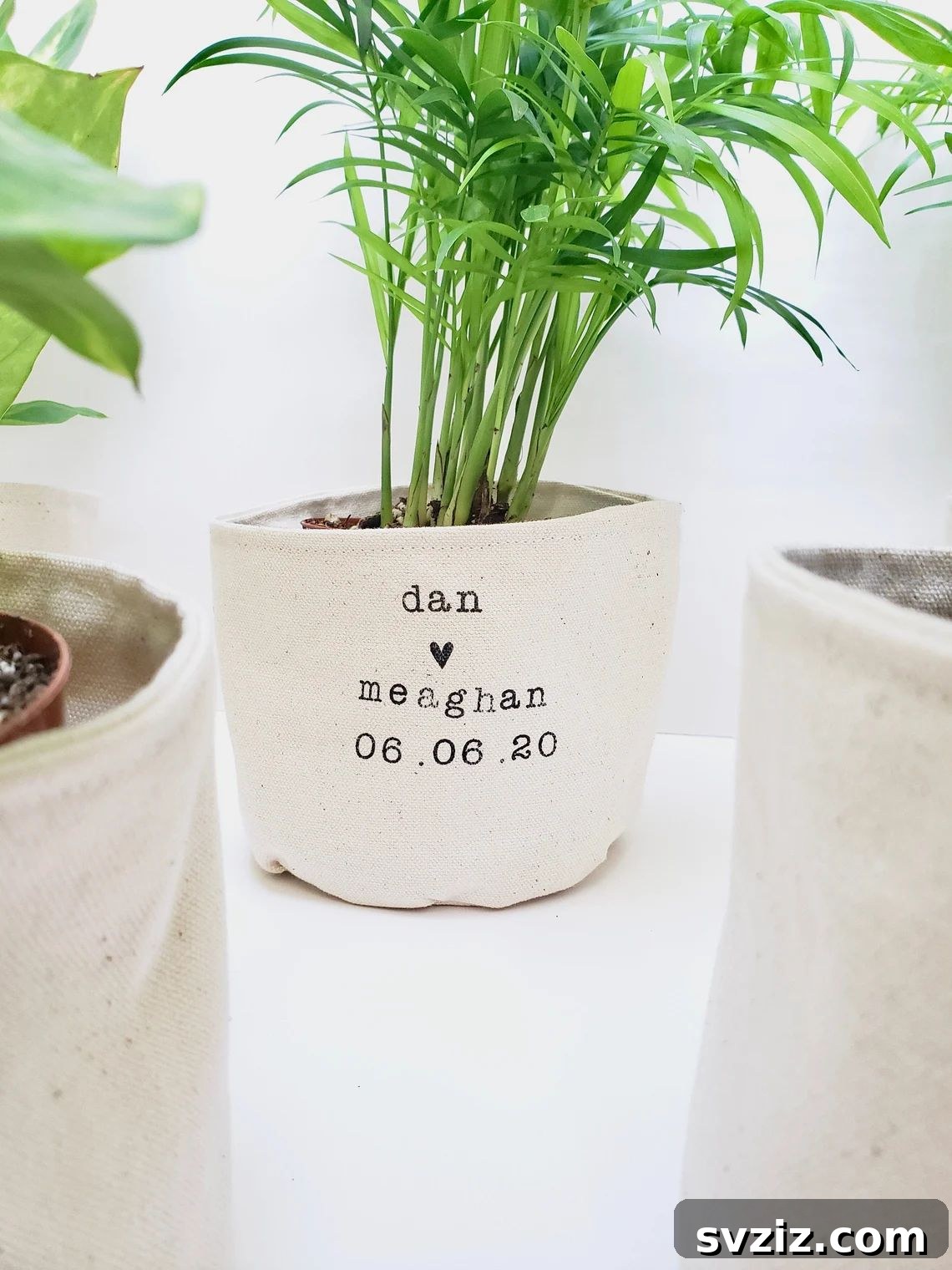 31 Quick Wedding Gifts Newlyweds Will Cherish 19 Plant