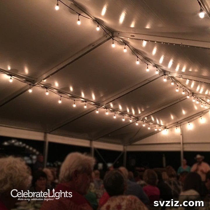 Cozy Outdoor Wedding with Draped String Lights