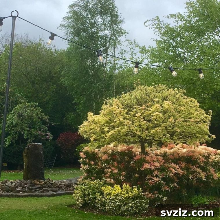 Charming Garden Wedding with Festoon Perimeter Lighting