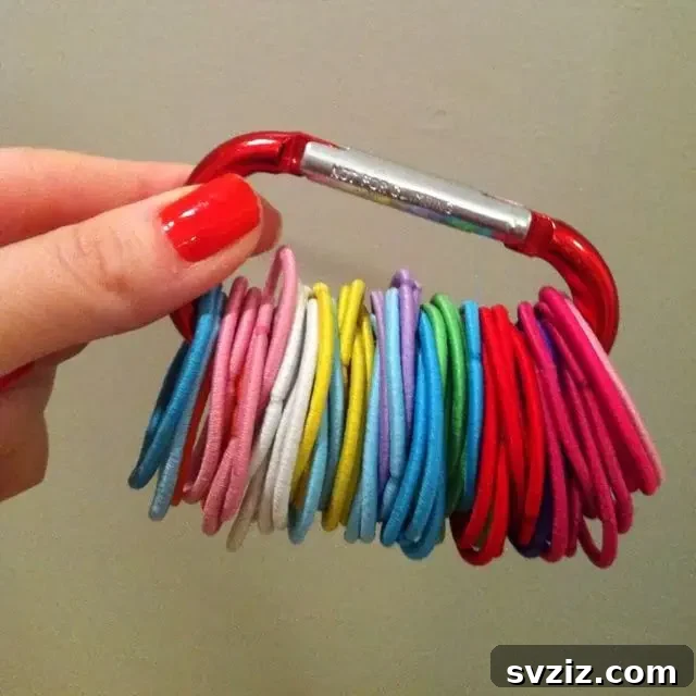 Hair elastic organizer using a Dollar Tree carabiner