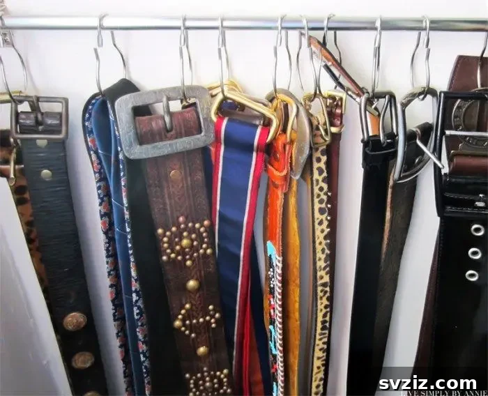 Belts organized neatly in a closet using Dollar Tree shower curtain rings