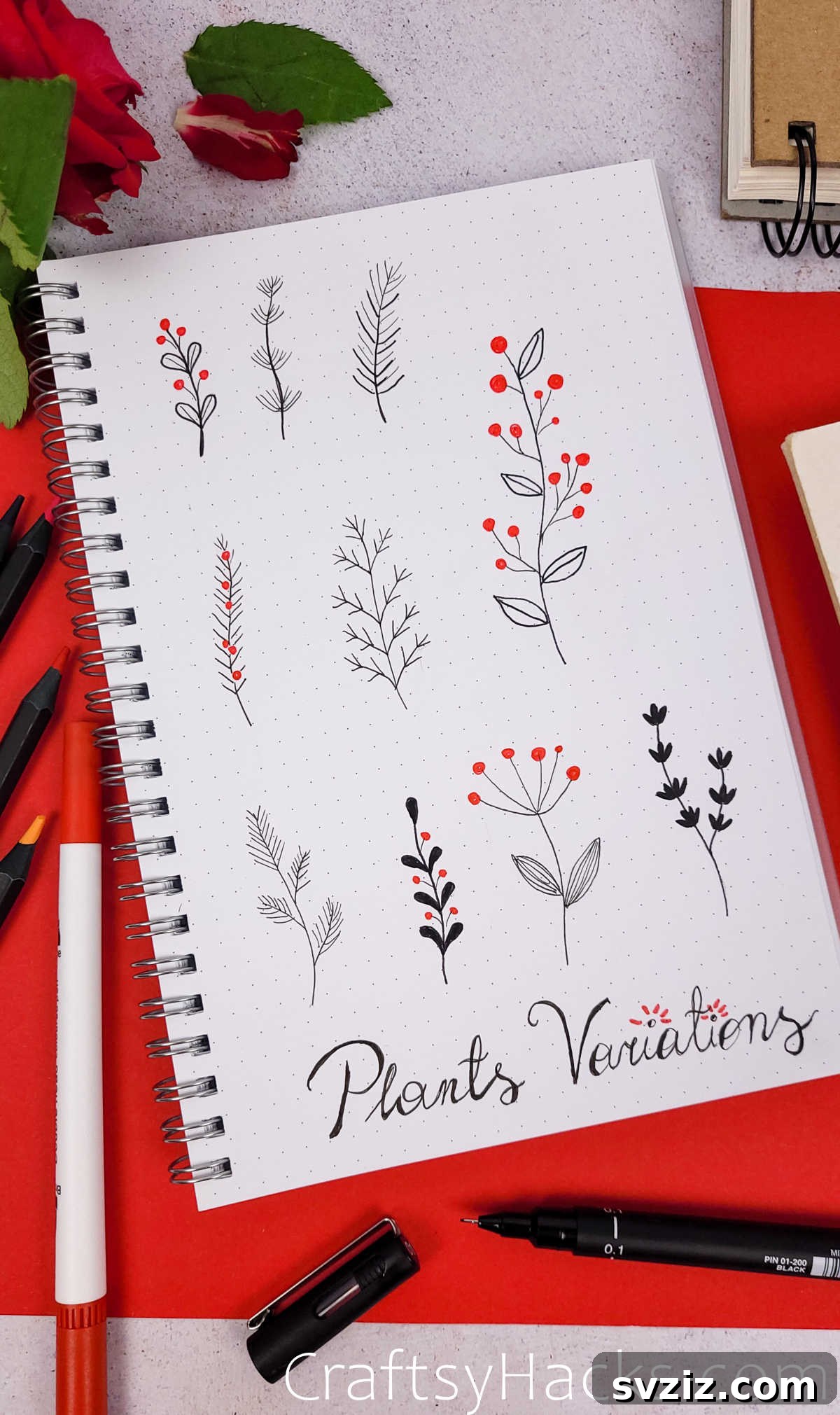 Plants Variations