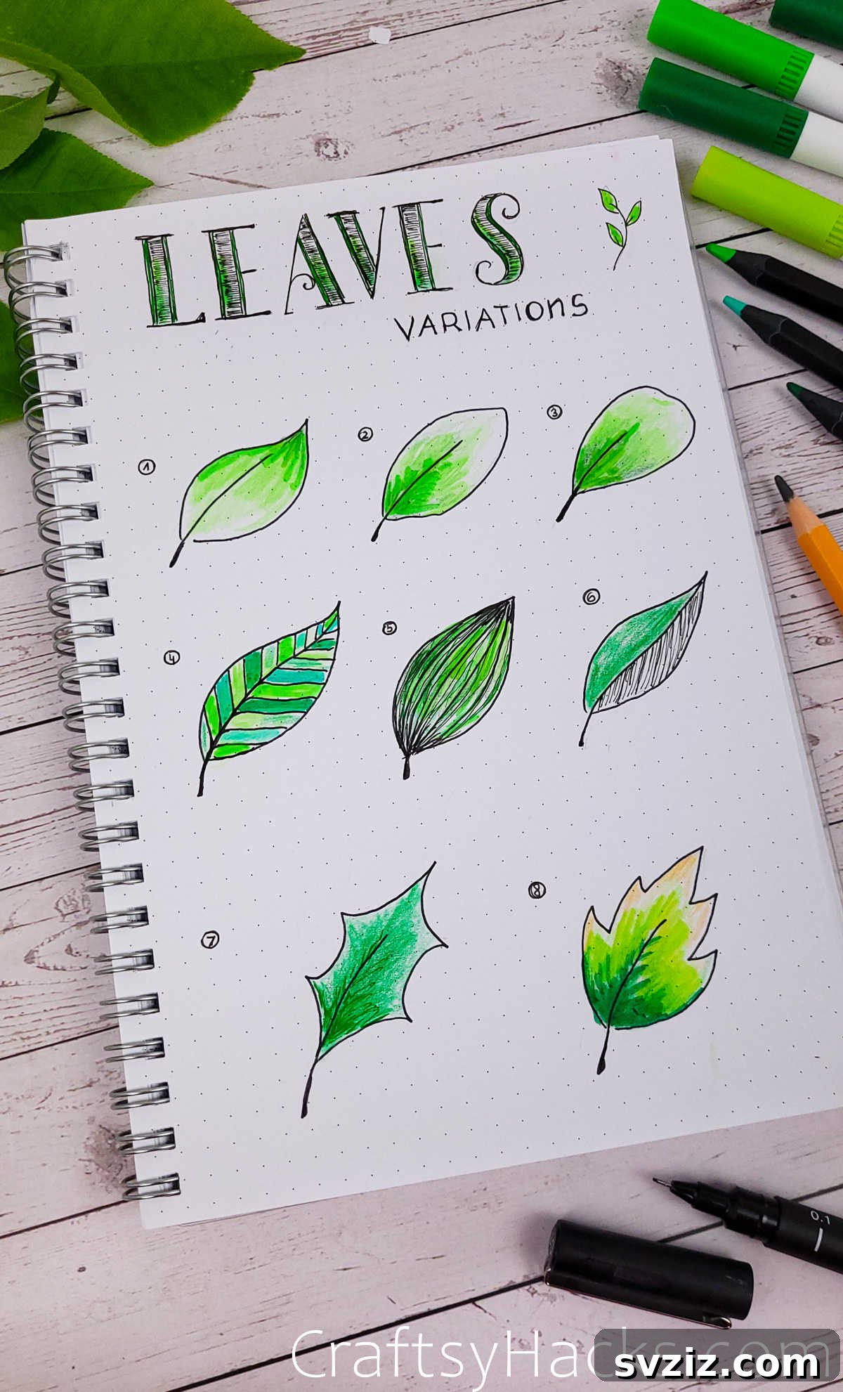 leaves