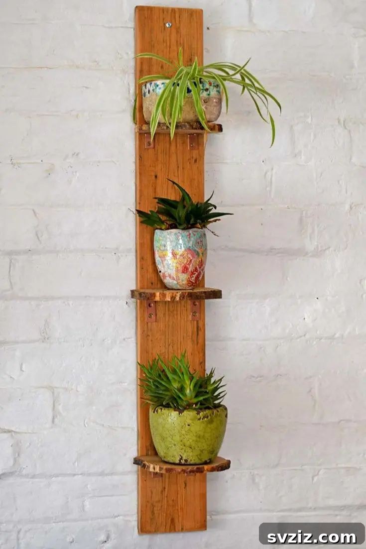 Plant Shelves