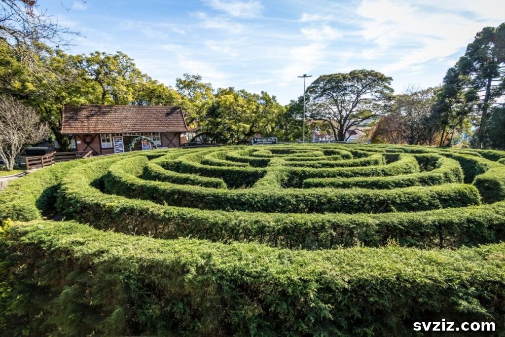 Children exploring a DIY yard maze made from ropes or tape