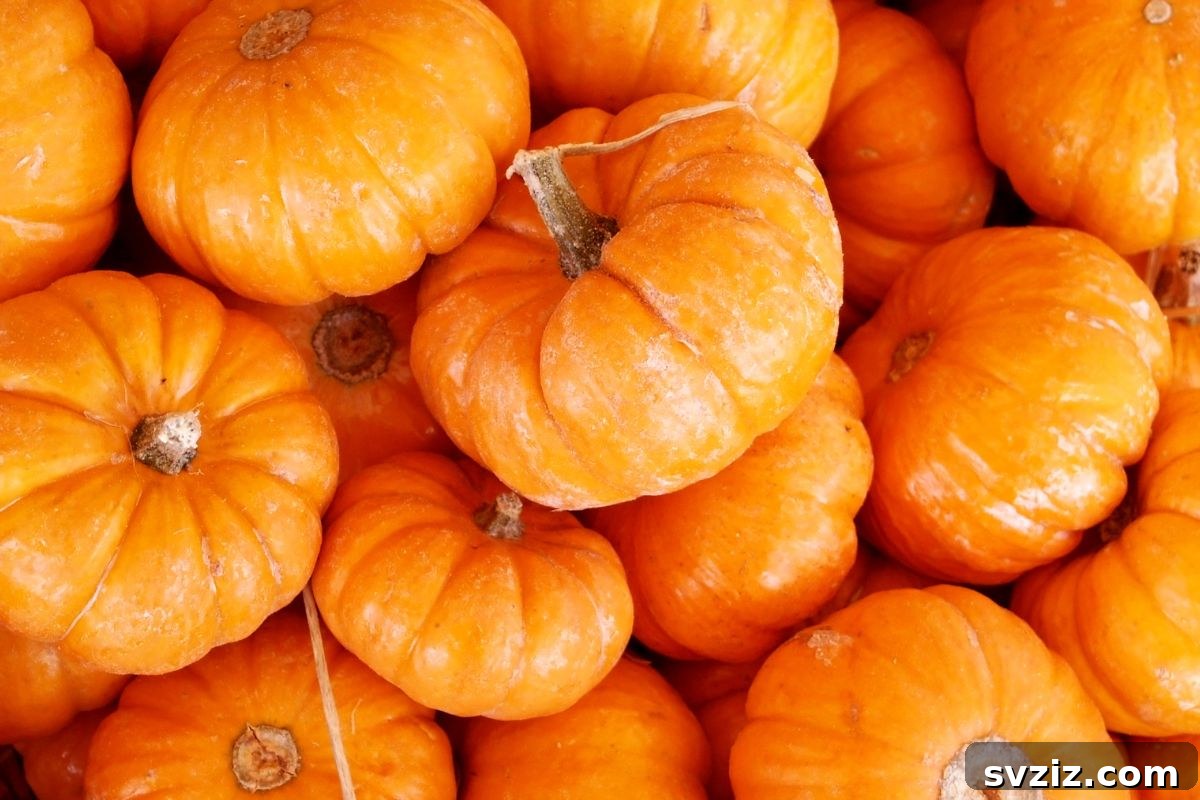Haunted Hilarity: Halloween Games for Teens and Tweens 13 Mini Pumpkin Tic Tac Toe
