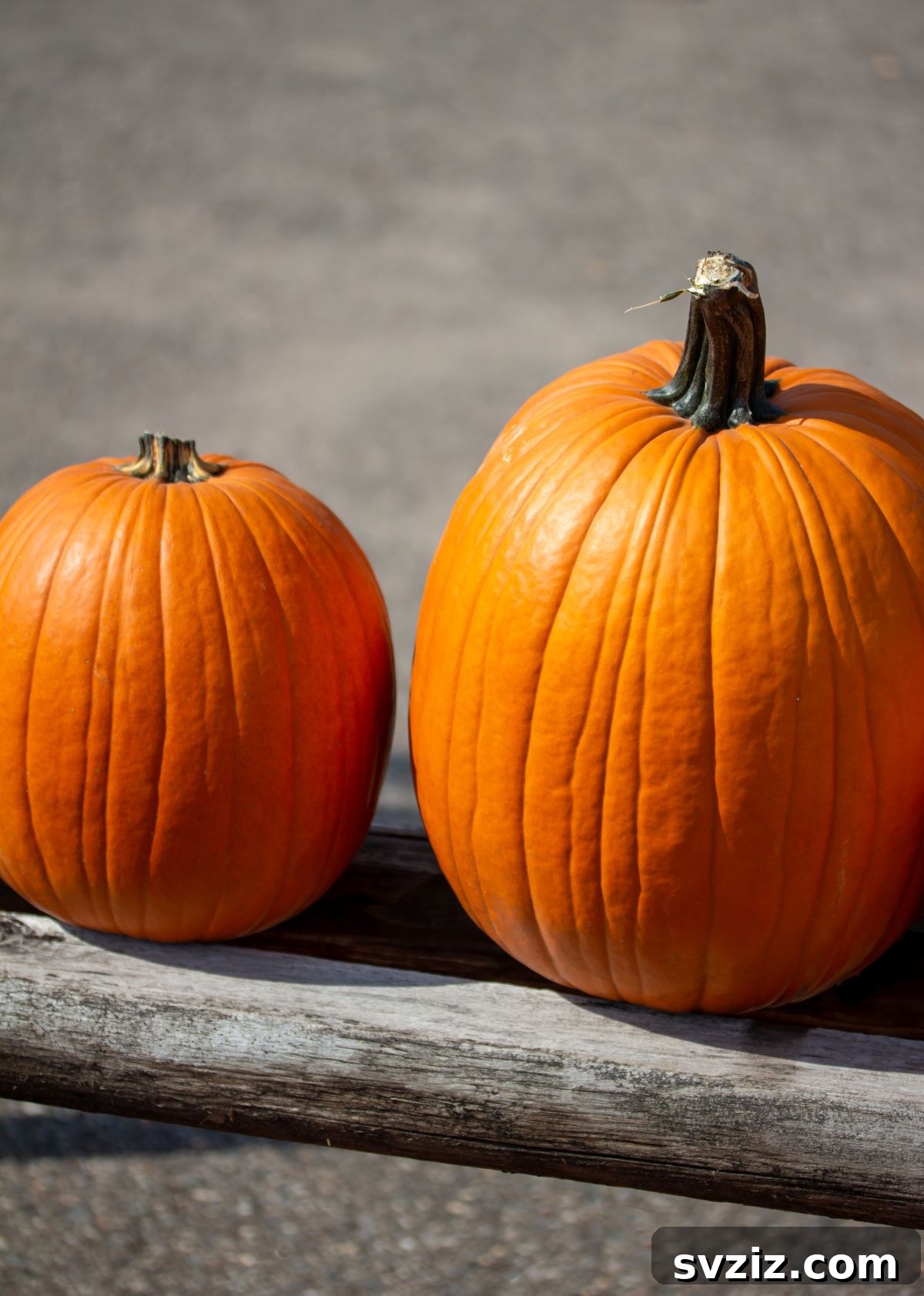 Haunted Hilarity: Halloween Games for Teens and Tweens 8 Pumpkin Toss