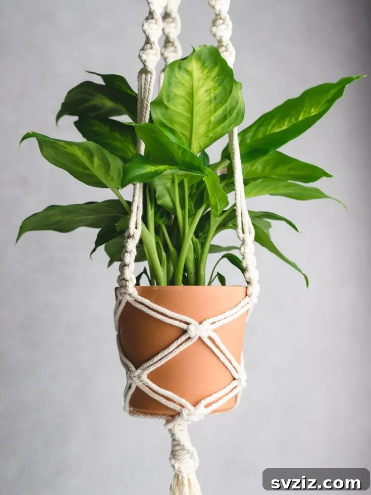 31 Dreamy Bohemian Bedroom Retreats 17 Macrame Plant Hanger